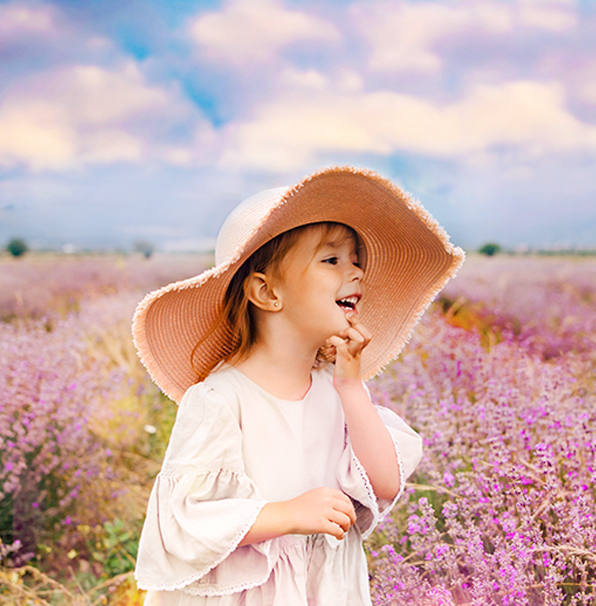 entire collection lightroom presets